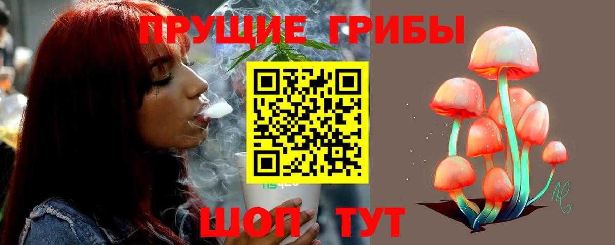 наркотики  Псилоцибиновые грибы Magic Shrooms  Галлюциногенные грибы мухоморы  Вход с VPN  Череповец 